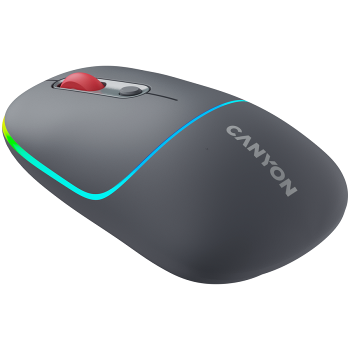 Canyon CNS-CMSW22DG/ Wless Mouse 2 Mode Grey