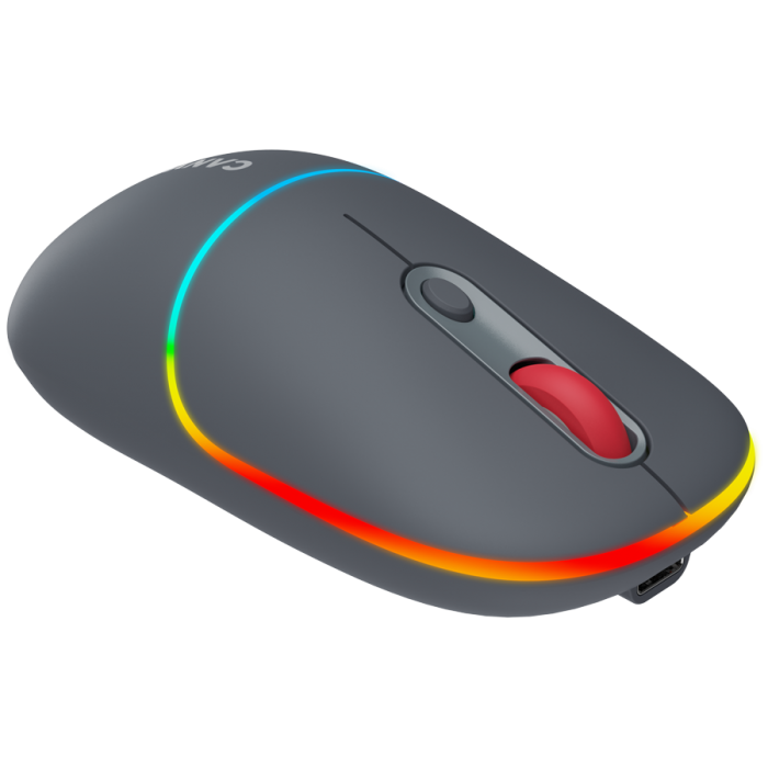 Canyon CNS-CMSW22DG/ Wless Mouse 2 Mode Grey