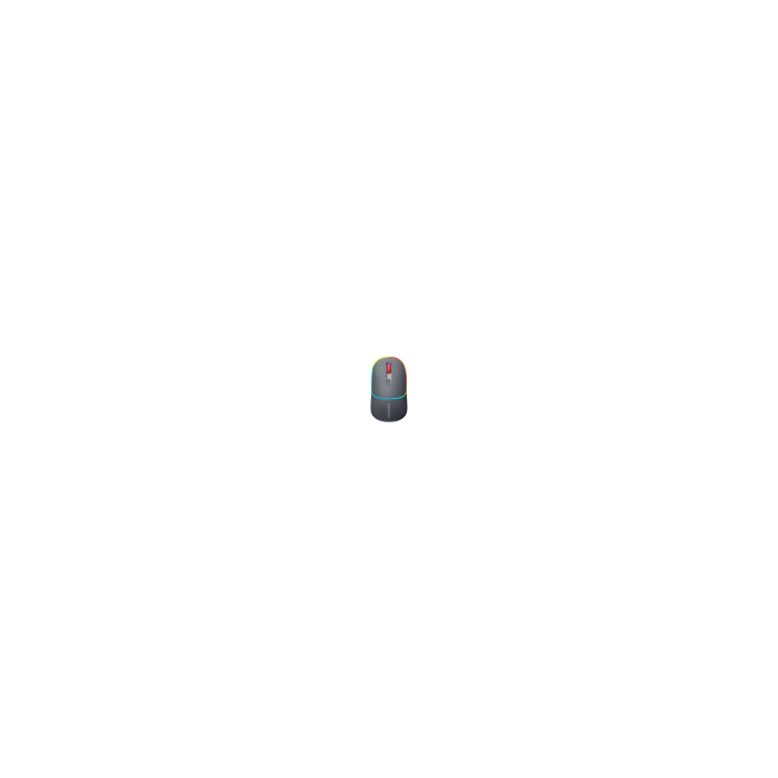 Canyon CNS-CMSW22DG/ Wless Mouse 2 Mode Grey