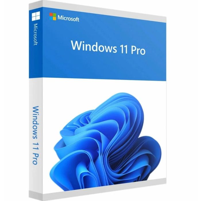 Win 11 Pro 64Bit Eng Intl 1pk DSP OEI DVD FQC-10528