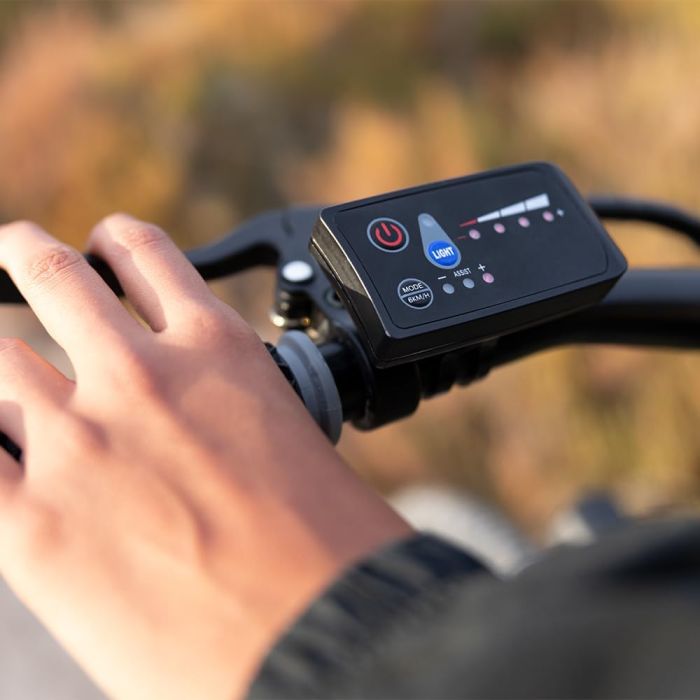 Cecotec 07179 e-Xplore e-bike