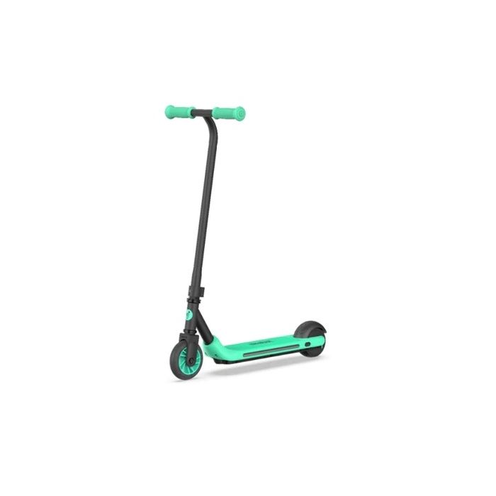 Ninebot Segway KickScooter A6
