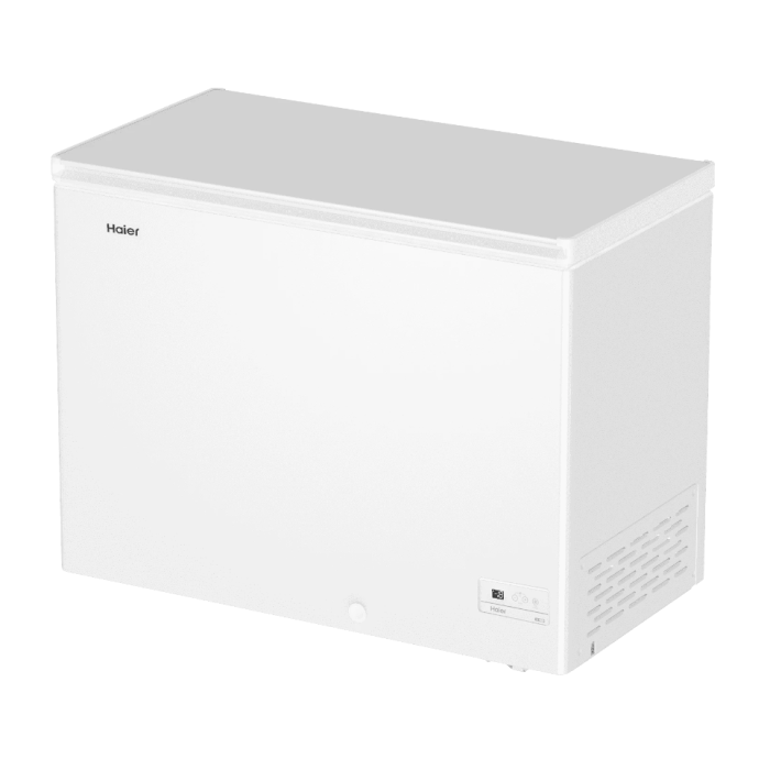 Haier HCE200R