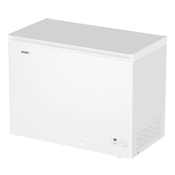 Haier HCE251R