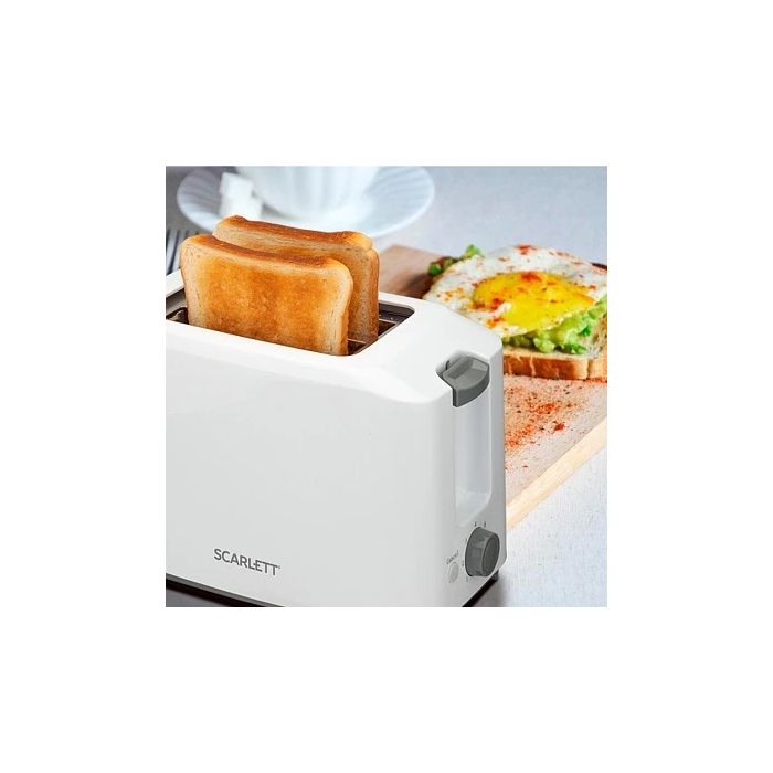 Scarlett SC-TM11019