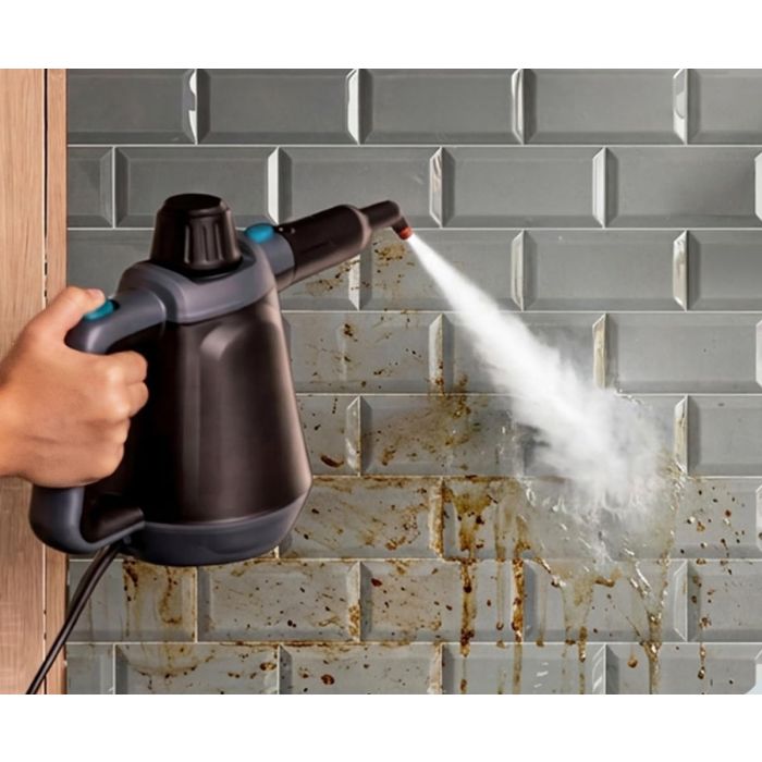 Cecotec A01_EU01_122317 Hydrosteam 1000 Blaze steam cleaner
