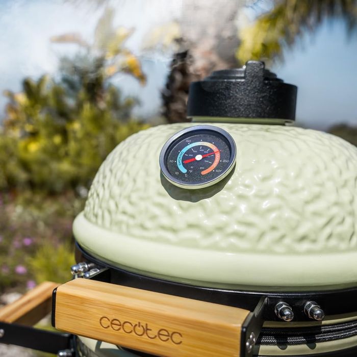 Cecotec 03248 Dragonfire 3200 barbecue