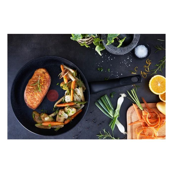 Tefal G2810472 LOTUS G6 fry pan 24cm