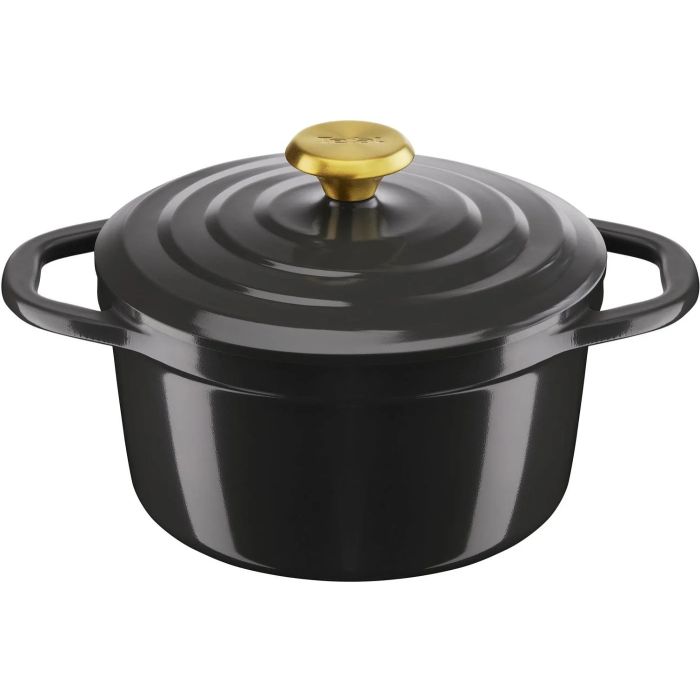Tefal E2554455 casserole pot with lid/AIR 20cm 3.1