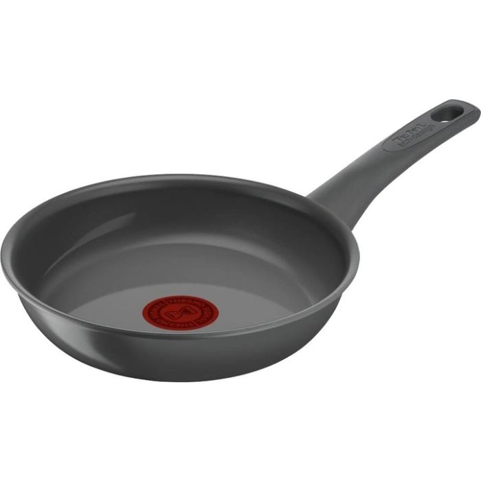Tefal C4260443 fry pan/gray Renewal 24cm