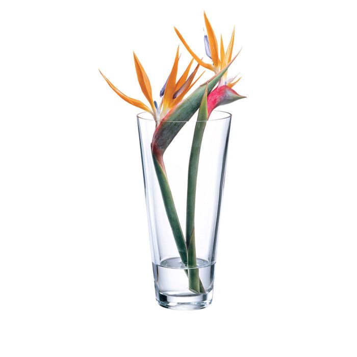 Rona 5040/300 AMBIENTE vase 30cm