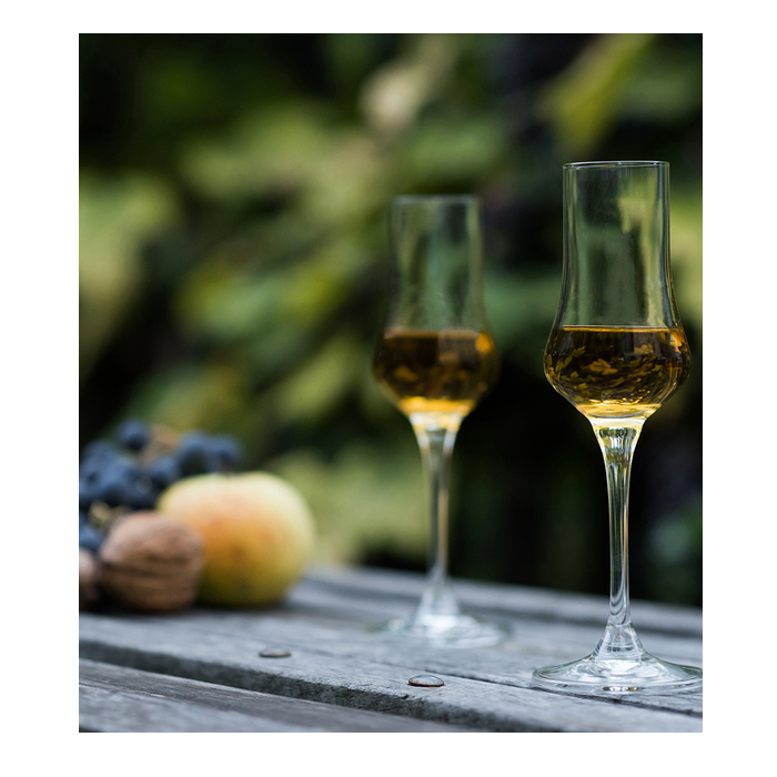 Rona 6050/100 UNIVERSAL grappa glass set 6x100ml
