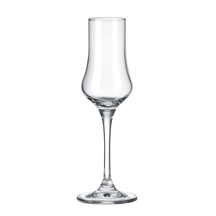 Rona 6050/100 UNIVERSAL grappa glass set 6x100ml