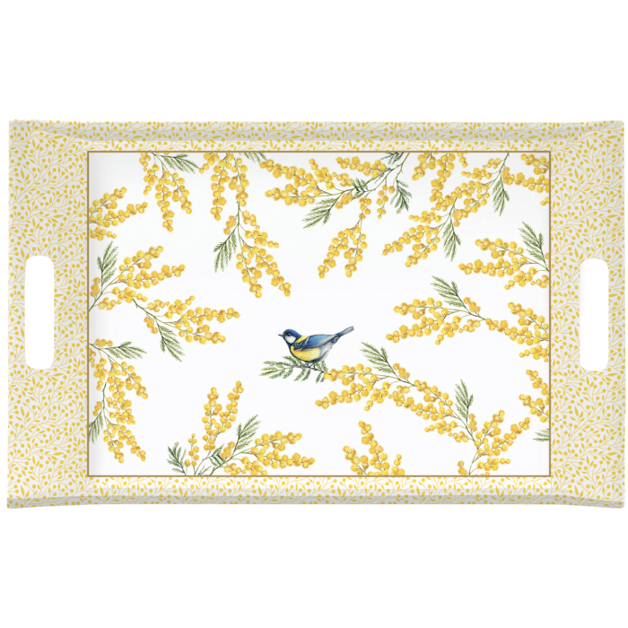 Easy Life PA02/MIMONV Tray 47x31cm