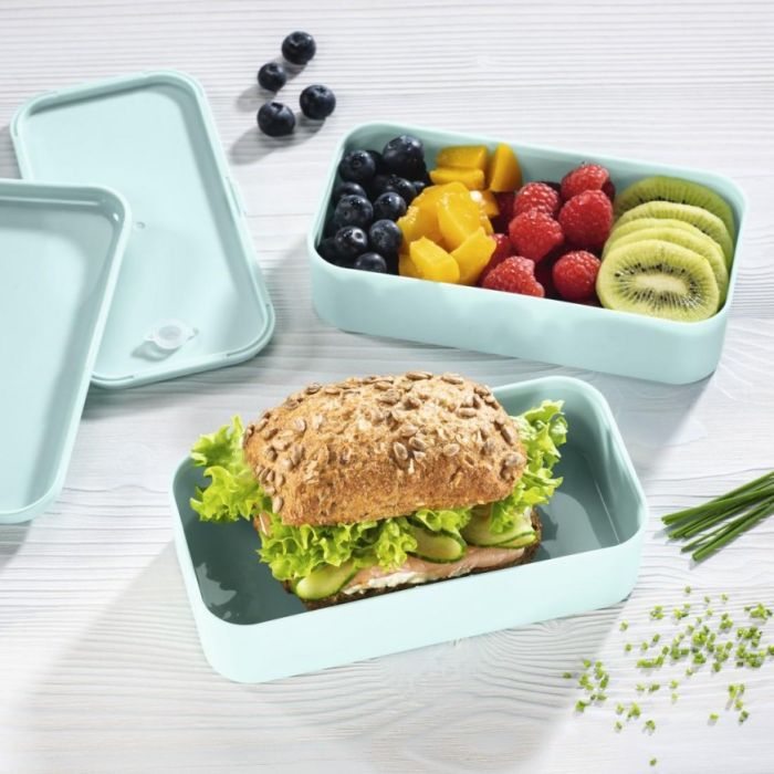 Hama 181595 bento box 500ml