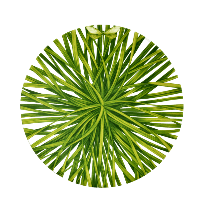 Taitu 12-13-01 LIFE IN GREEN plate 21.5cm