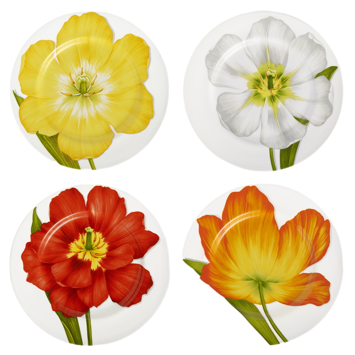 Taitu 1-80 FREEDOM  plate set 4 assorted