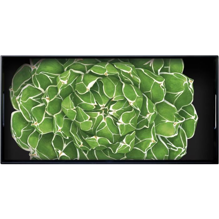 Taitu 6-9-02 CACTUS tray 66x33cm