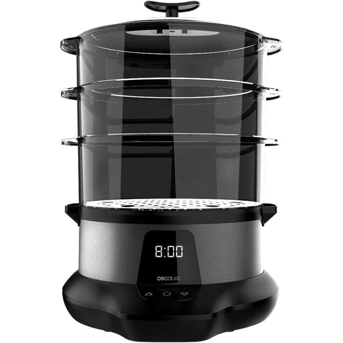 Cecotec 03254 steamer 3000 pro