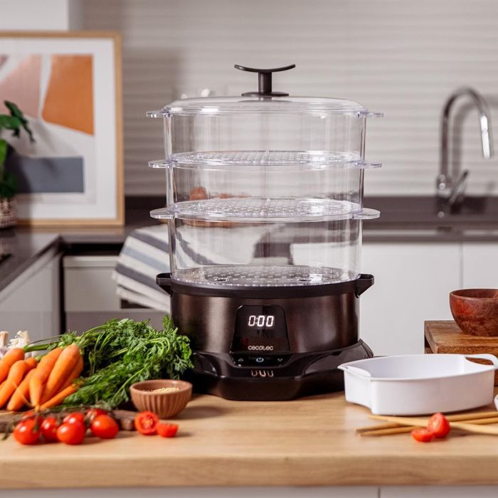 Cecotec 03254 steamer 3000 pro