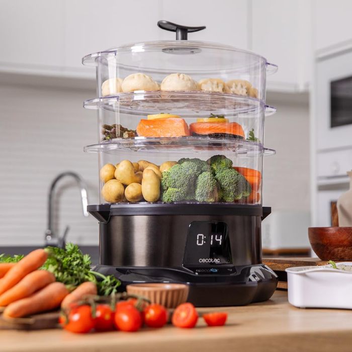 Cecotec 03254 steamer 3000 pro