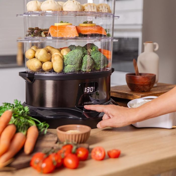 Cecotec 03254 steamer 3000 pro