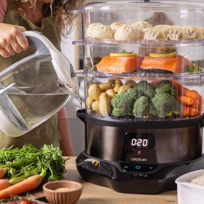 Cecotec 03254 steamer 3000 pro