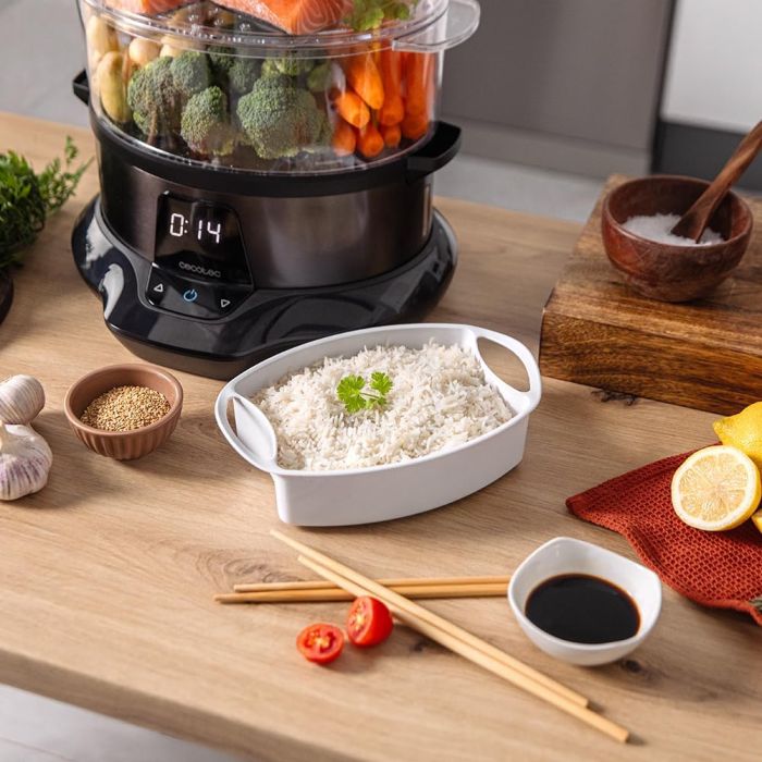 Cecotec 03254 steamer 3000 pro