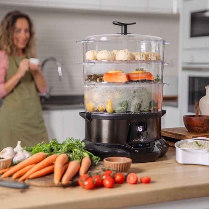 Cecotec 03254 steamer 3000 pro