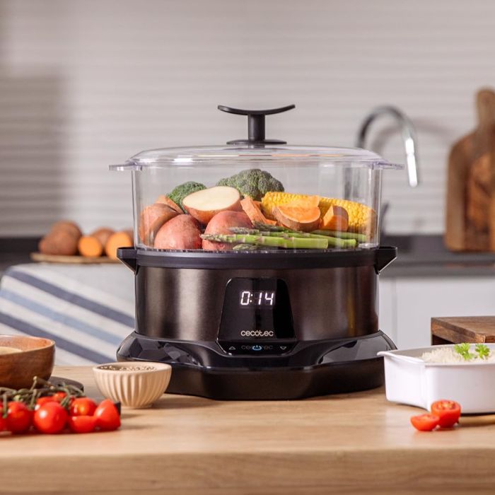 Cecotec 03254 steamer 3000 pro