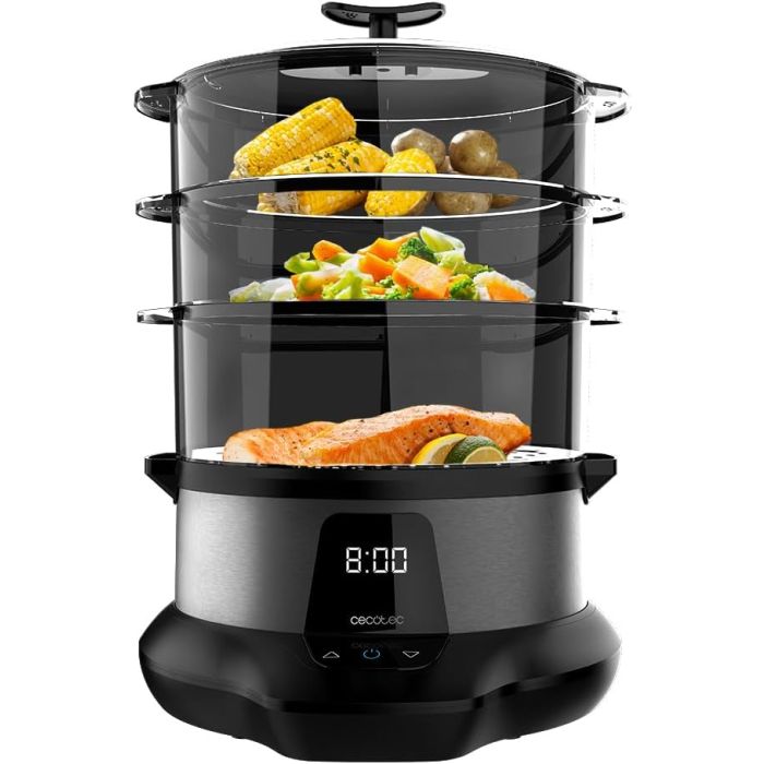 Cecotec 03254 steamer 3000 pro