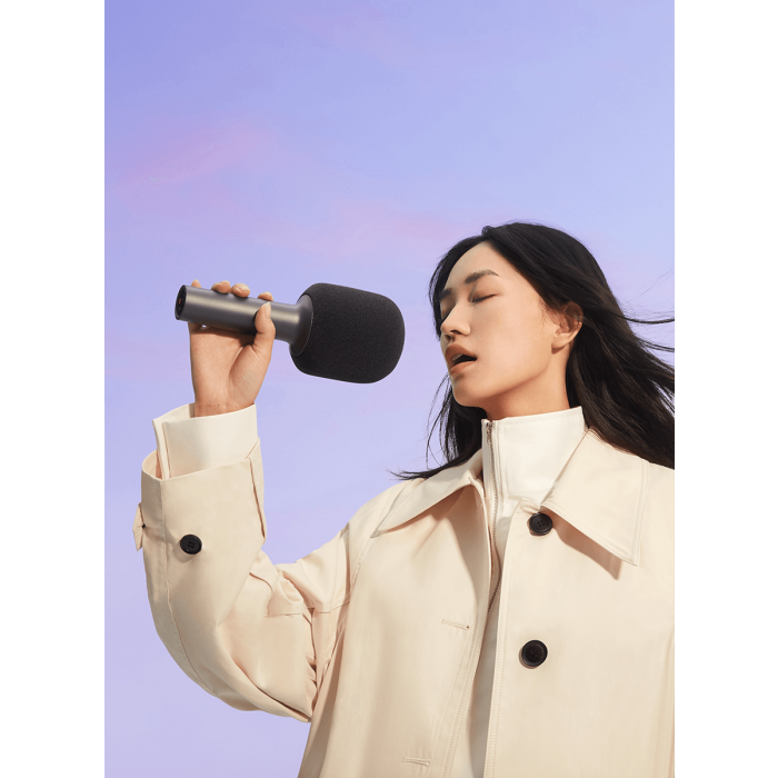Xiaomi Karaoke Microphone /BHR6752GL