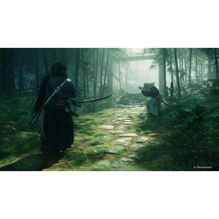 PS5 RISE OF THE RONIN