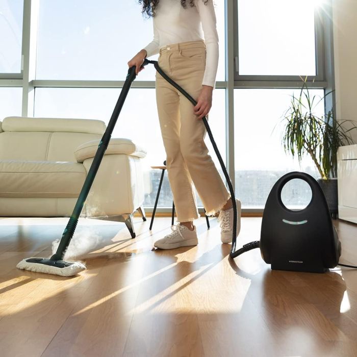 Cecotec 05704 HydroSteam 2030 Active Steam Cleaner, 2000 W