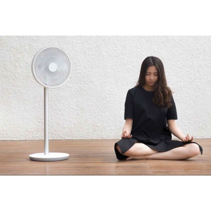 Mi Standing Fan 1C PYV4007GL (JLLDS01XY)