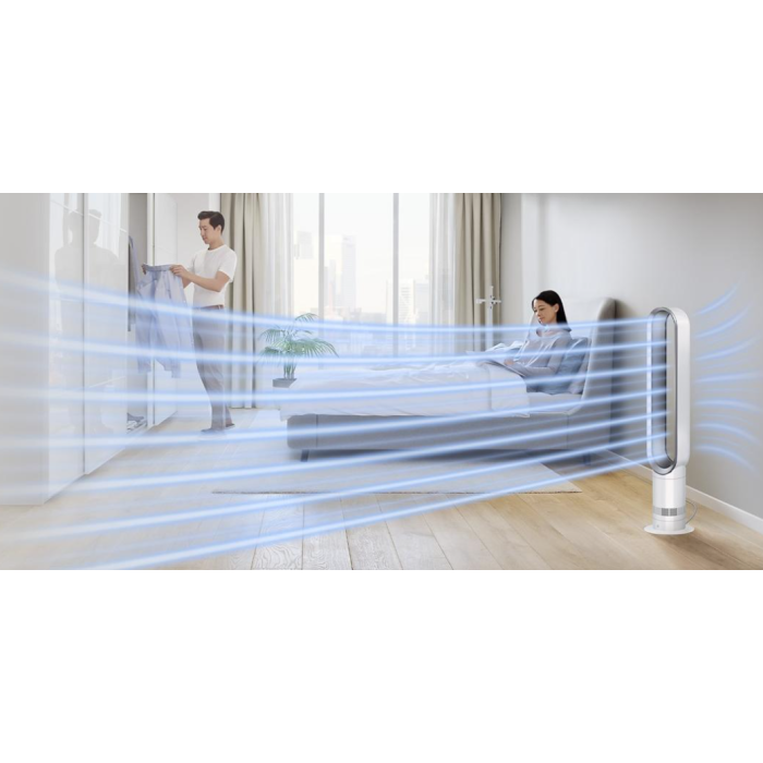 Dyson AM07 White/Satin Silver