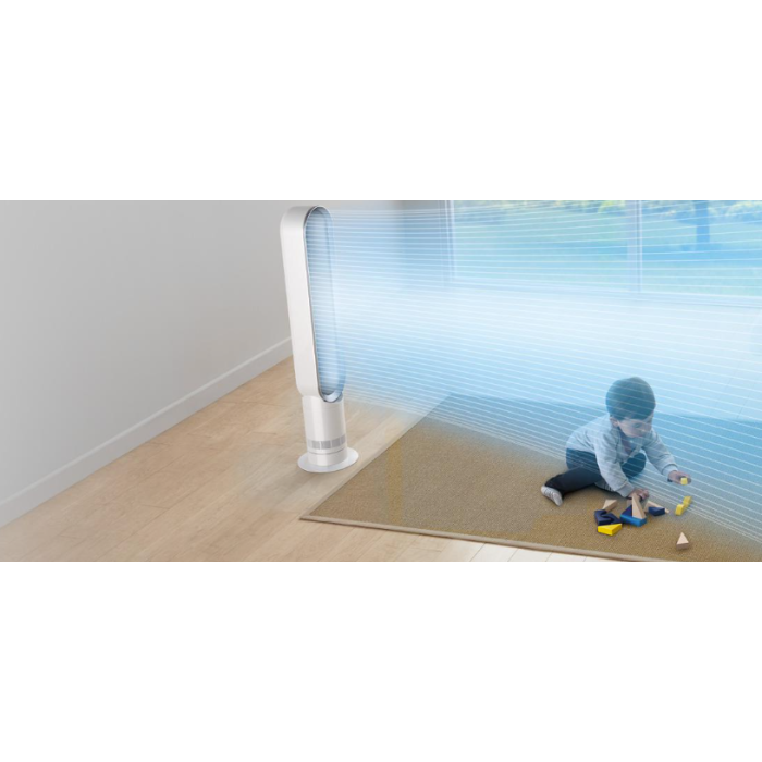 Dyson AM07 White/Satin Silver