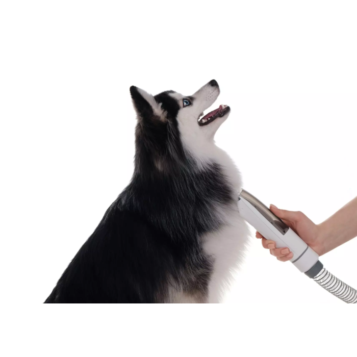 Haier PetPure