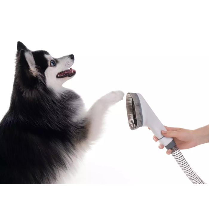 Haier PetPure