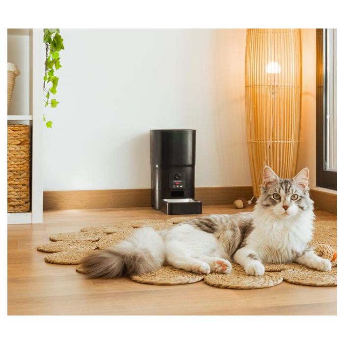 Cecotec 09566 Automatic pet feeder with Wi-Fi control - outlet