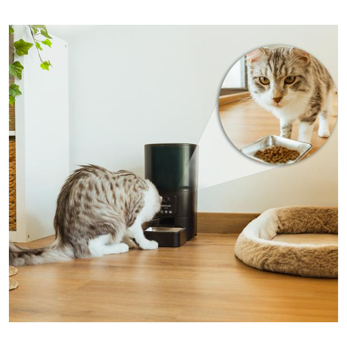 Cecotec 09566 Automatic pet feeder with Wi-Fi control - outlet