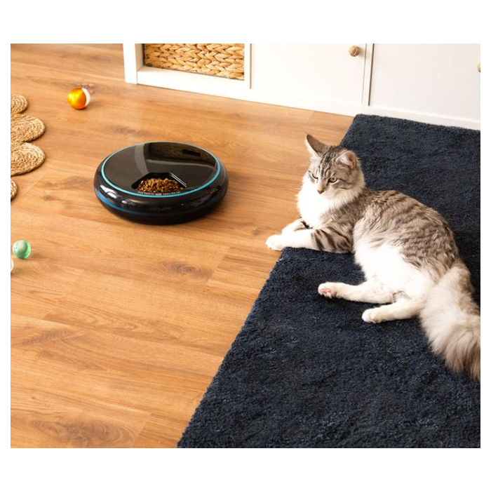 Cecotec 09562 Automatic pet food dispenser 1.6l - outlet