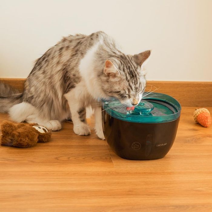 Cecotec 09561 Automatic pet fountain Pumba 2200 2l - outlet