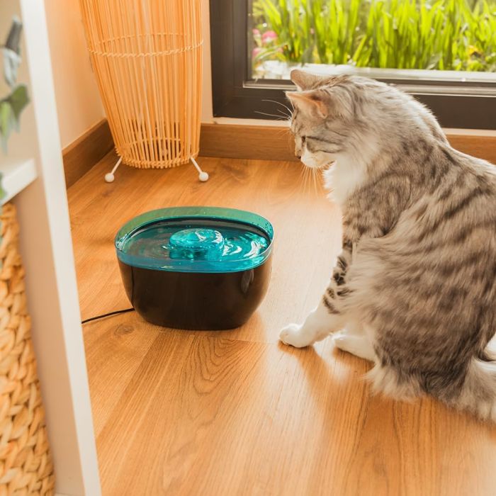 Cecotec 09561 Automatic pet fountain Pumba 2200 2l - outlet
