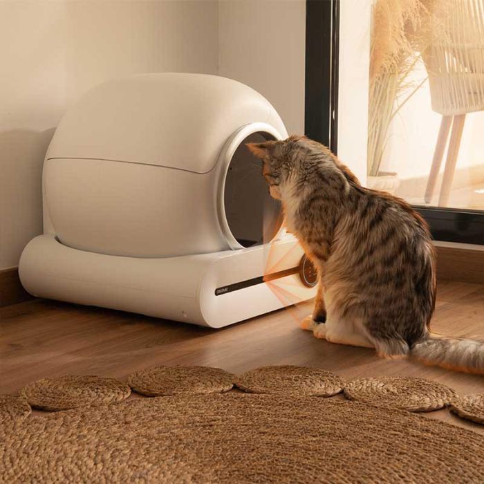 Cecotec 09567 smart self-cleaning kitty box with WiFi