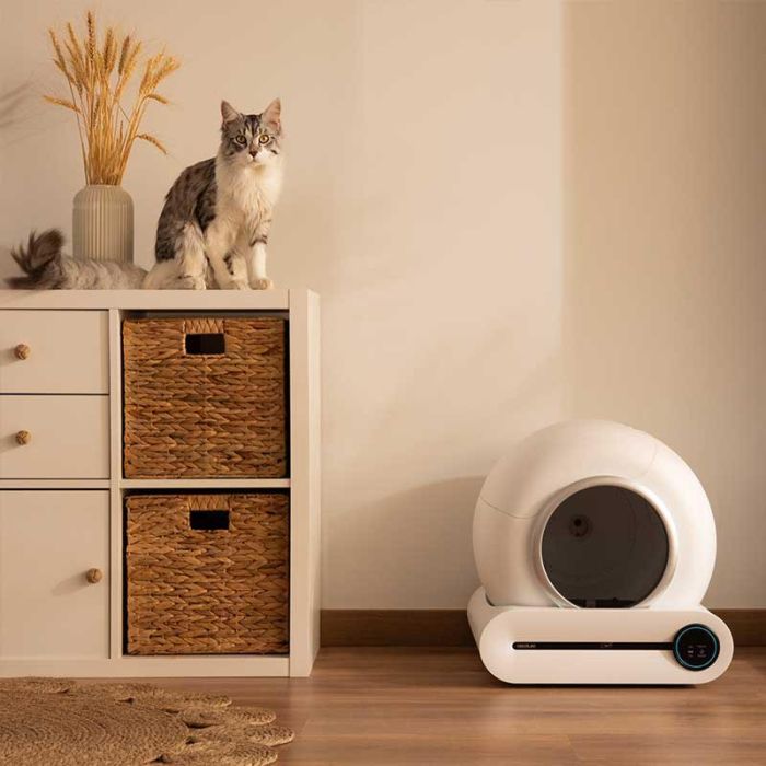 Cecotec 09567 smart self-cleaning kitty box with WiFi