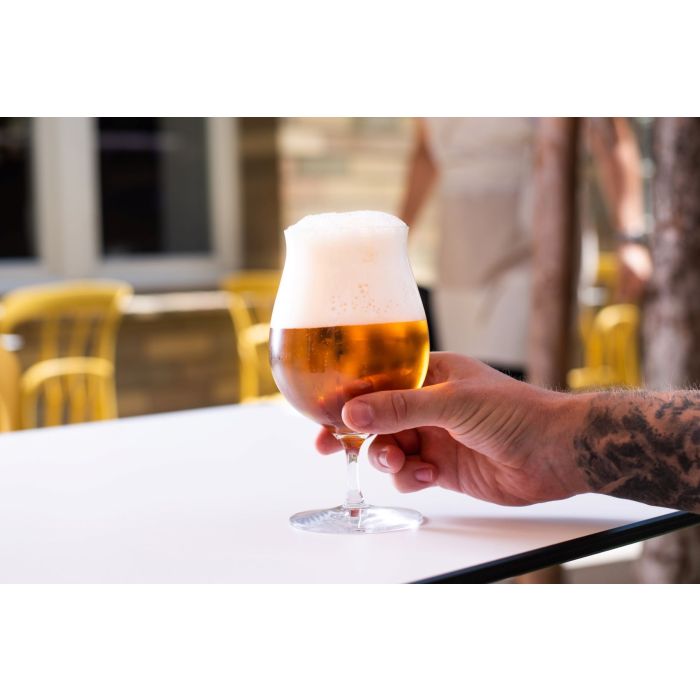 Rona 7462/540 beer glass 6x540ml