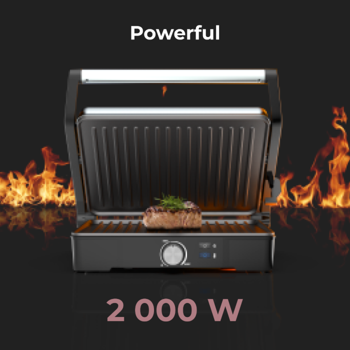AENO AEG0002 Electric Grill EG2