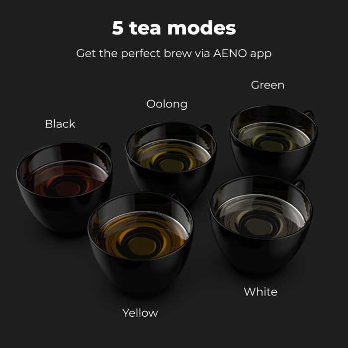 AENO AEK0001S Electric Kettle