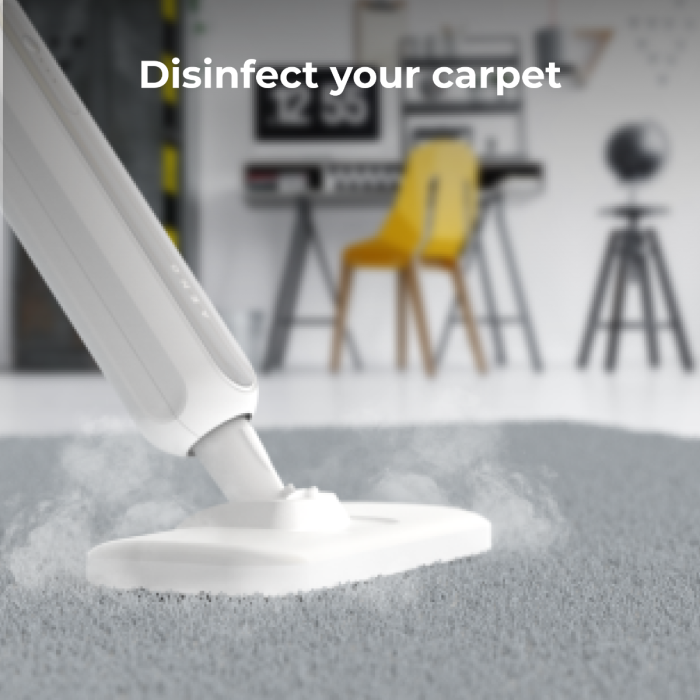 AENO ASM0002 Steam Mop SM2